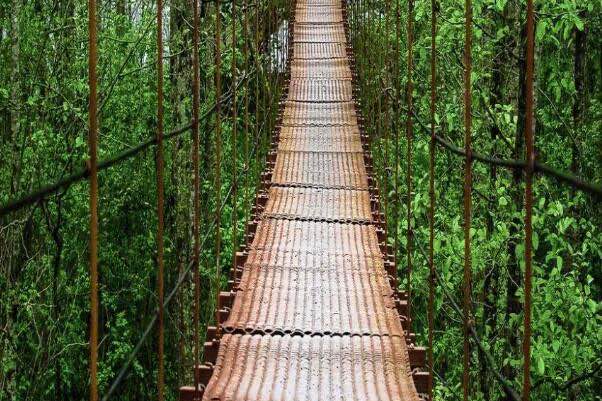 网络配图 网络配图